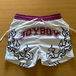 ALLEGORY HOUSE Joyboy Luffy Mesh Shorts One Piece Inspired Gym Shorts